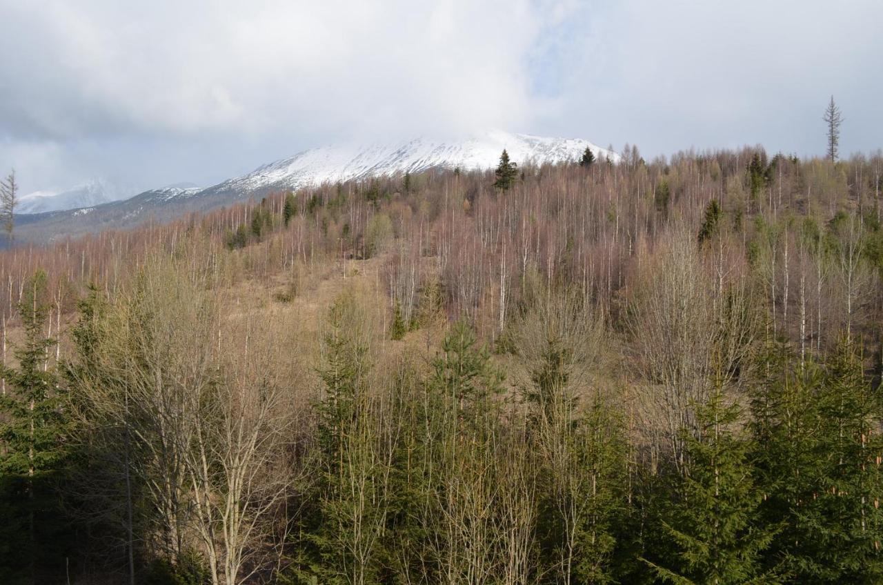 Apartman Lesia Vysoké Tatry Exterior foto